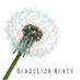 Clover Chadwick (@dandelion_ranch) Twitter profile photo