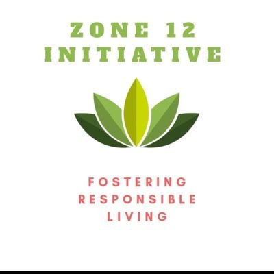 InitiativeZone's profile picture. Zone 12 Initiative page is aimed at promoting the aims and objectives of Zone 12 initiative organisation which are targeted at transforming the state of lives.