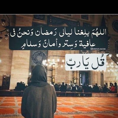 mv8t_p's profile picture. 