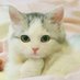 like you (@dady935) Twitter profile photo like you (@dady935) Twitter profile photo