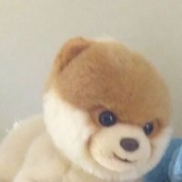 しむぎ (@syunnmugidayo) 's Twitter Profile Photo しむぎ (@syunnmugidayo) 's Twitter Profile Photo