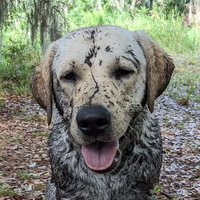 Scott Jones (@jones_m_scott) 's Twitter Profile