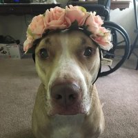 Michaela Zack (@zackattack0976) 's Twitter Profile
