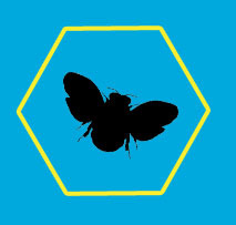 SpreeHive is The Amazing Community of C0LLECTIVE buyers!