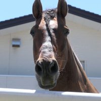 Risashimazaki (@tezo39919290) 's Twitter Profile Photo Risashimazaki (@tezo39919290) 's Twitter Profile Photo