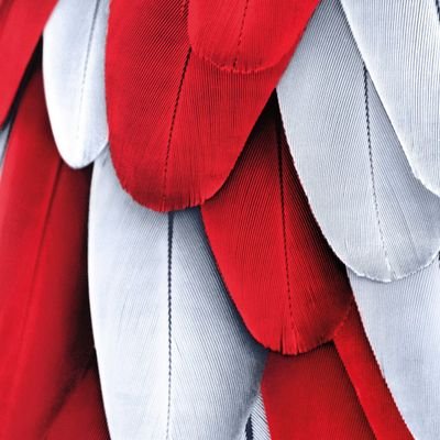 Luis_M_delaMaza's profile picture. Bilbaino por encima de todo. Y del Athletic desde la cuna. 
Energías renovables. Sostenibilidad