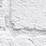 v38YIPmXkpEAgis's profile picture. 