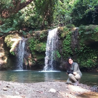 NazneenOdonata's profile picture. loves to explore about nature and dragonfly