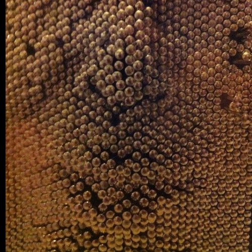 billynugent's profile picture. 