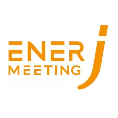 EnerJ-meeting