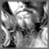 mturf (@mturf) 's Twitter Profile