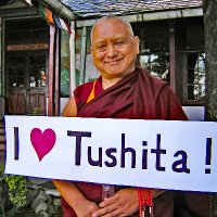 Tushita Meditation Centre (@tushitacentre) 's Twitter Profile