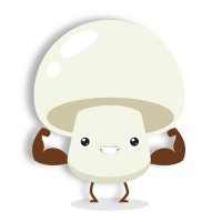 Champiñones Frescos (@champifresco) 's Twitter Profile