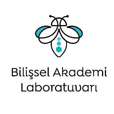 bilisselakademi Profile Picture