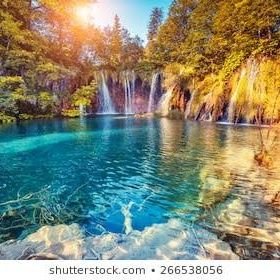 Manibharathi632's profile picture. Loves to be a Trend Setter