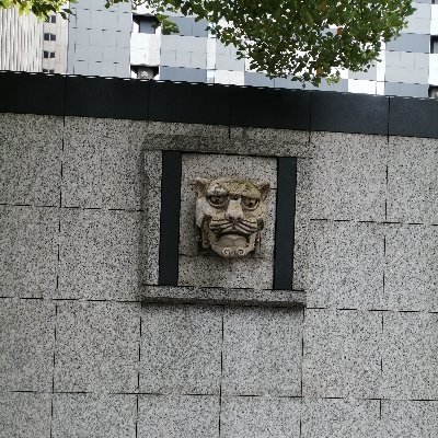 ryutorice's profile picture. KQKOB/MAGIQ /クイズ(大学スタート)/統計学・数学の徒/社会人になった