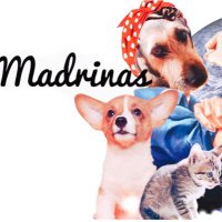 madrinasalpoder1 (@madrinasalpode1) 's Twitter Profile