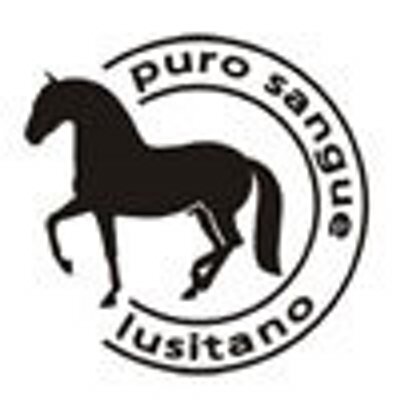 ABPSL - Associação Brasileira de Criadores do Cavalo Puro Sangue