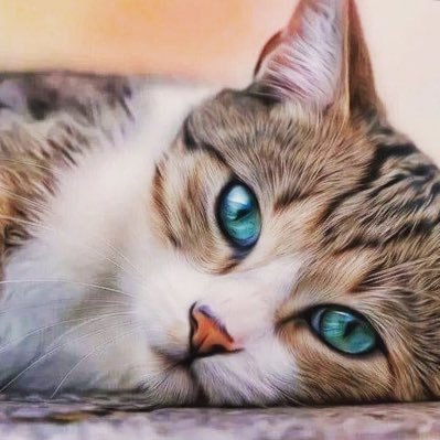 brndahh_92's profile picture. 