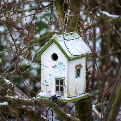 Bird Quotes and Birdhouse Construction Tips