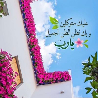 aLpYi5KpyViftuA's profile picture. 