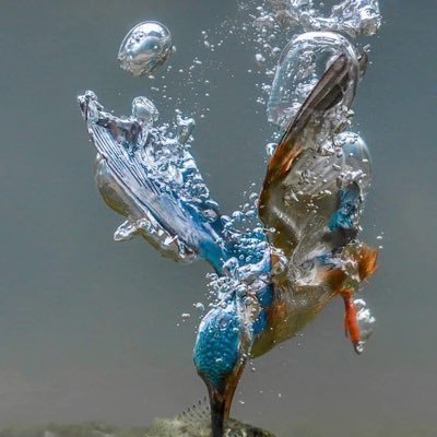 liying29481570's profile picture. 