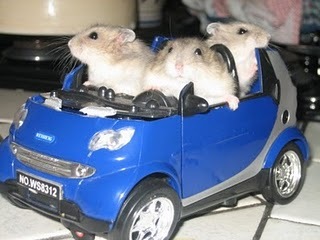 formidability9's profile picture. 