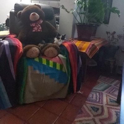 Leer, me gustan los gatos ,fachos por ningún motivo , apruebo con tuti y nací con corazón azul hasta la eternidad.........