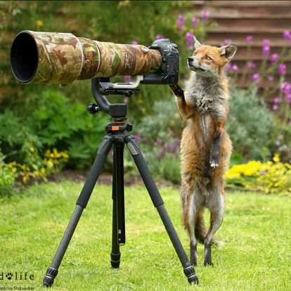 sankeyconsult's profile picture. 