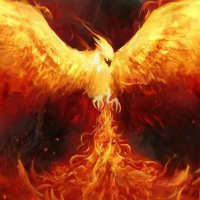 The Phoenix #Shadowbanned(@ThePhoenix366) 's Twitter Profile Photo