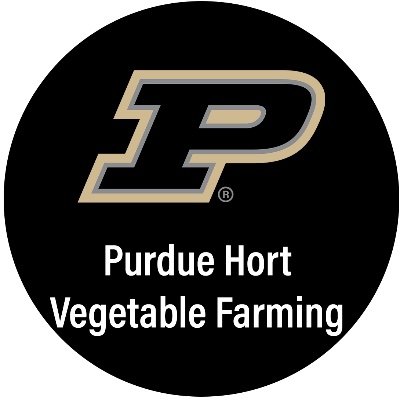 Info for vegetable farmers and flower growers from Purdue NW Commercial Hort.  Opinions expressed here may not represent official views of Purdue University.