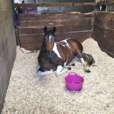 DeniseC04674175's profile picture. 