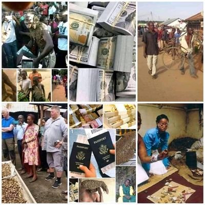 Ssalongo19's profile picture. same day results