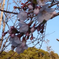 ぱちんかす (@jdqzbjh2bxfnx1r) Twitter profile photo