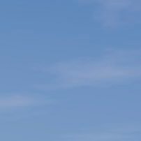 M0M0n_Chu's profile picture. ももとか、ももかぼとか。人狼、マダミス、脱出。ほぼ♡bot