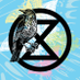 Extinction Rebellion Frankfurt #WaldStattAsphalt🌱 Profile picture