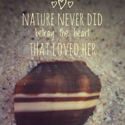 AsgherSofia's profile picture. 