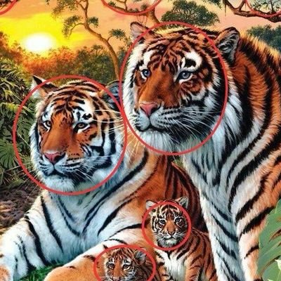 DhattarwalRk's profile picture. 