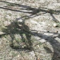 Rachel Knaebel @rachelk@mastodon.social (@rachelknaebel) 's Twitter Profile Photo