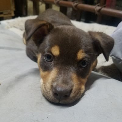 victorA77238656's profile picture. 