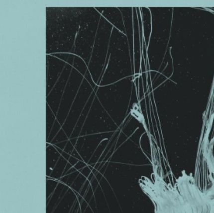 JPrototypes's profile picture. Fuck off