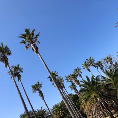 natsu082871's profile picture. 