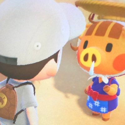 はむさんのプロフィール画像