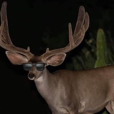 deemeencia's profile picture. 