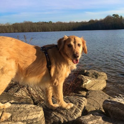 Pirates fan, Steelers fan, and Penguins fan, Golden pwned...I Just want to be half the person my dogs think I am...Carpe Diem , Carpe Nter. ECP2=ldr COC , CR