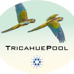 Present since of the ITN.
Located in Chile.

Pool: TPOOL, find me in your favorite wallet.