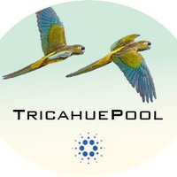 TricahuePool (@tchpool) 's Twitter Profile