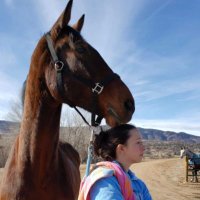 Marie Chalfant (@chally623) 's Twitter Profile