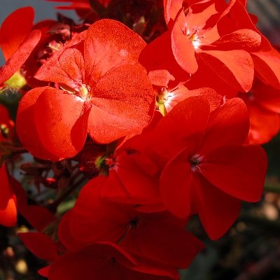 @FSSA.org.uk Profile