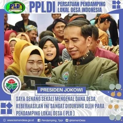 KETUA TIM KOORDINATOR PPLDI